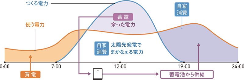 1日の電力使用量/電気料金(イメージ)